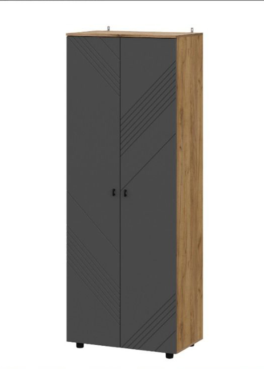 Шкаф NN Мебель (МС Байкал К) Дуб Золотой/Графит, двухстворчатый комбинированный (SAFE) - фото